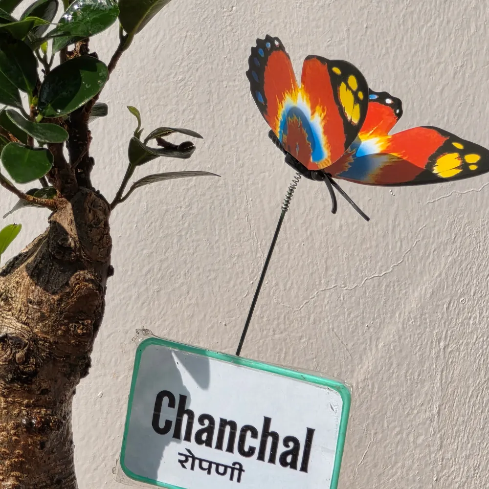 product-gallery