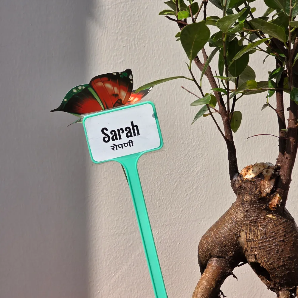 product-gallery