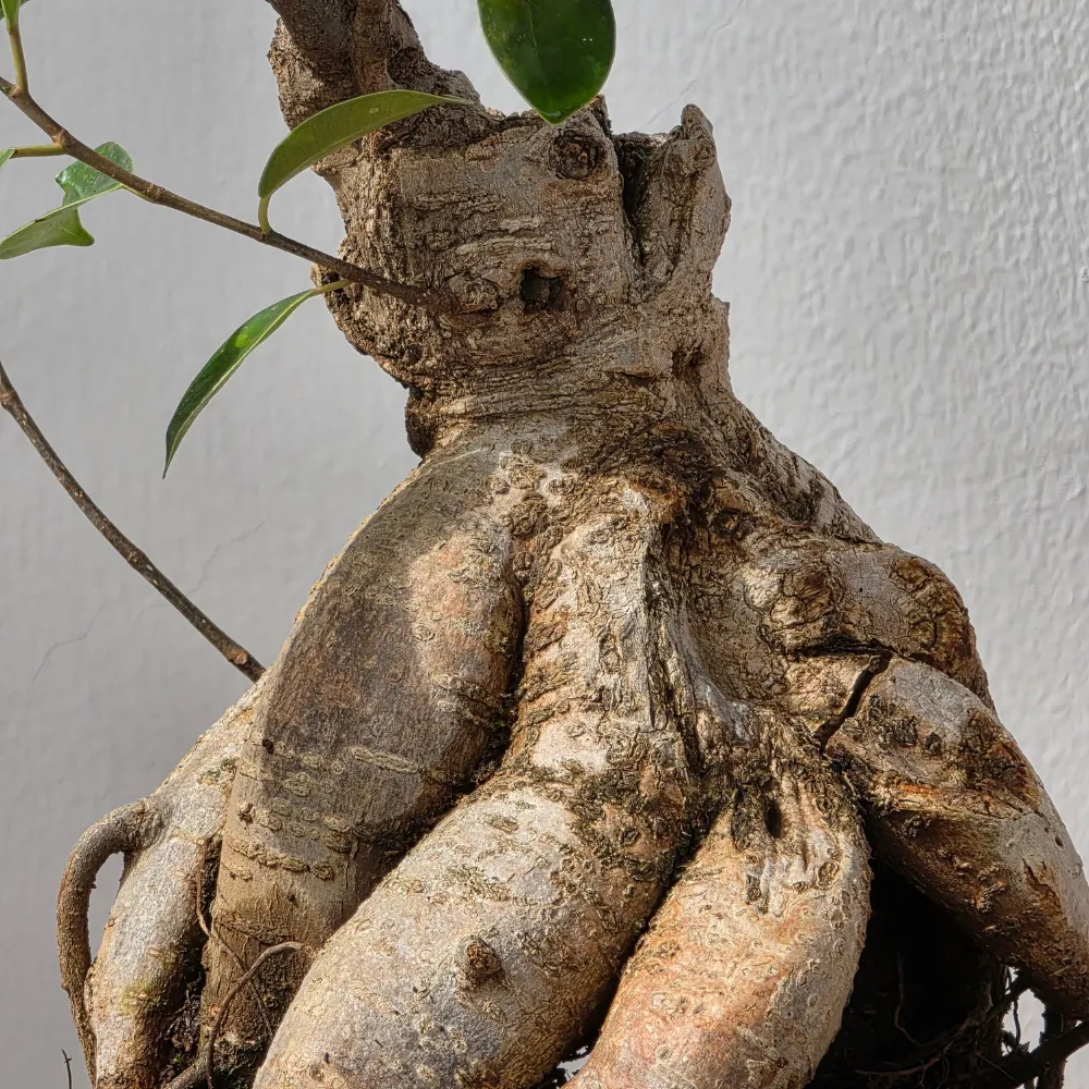 product-gallery