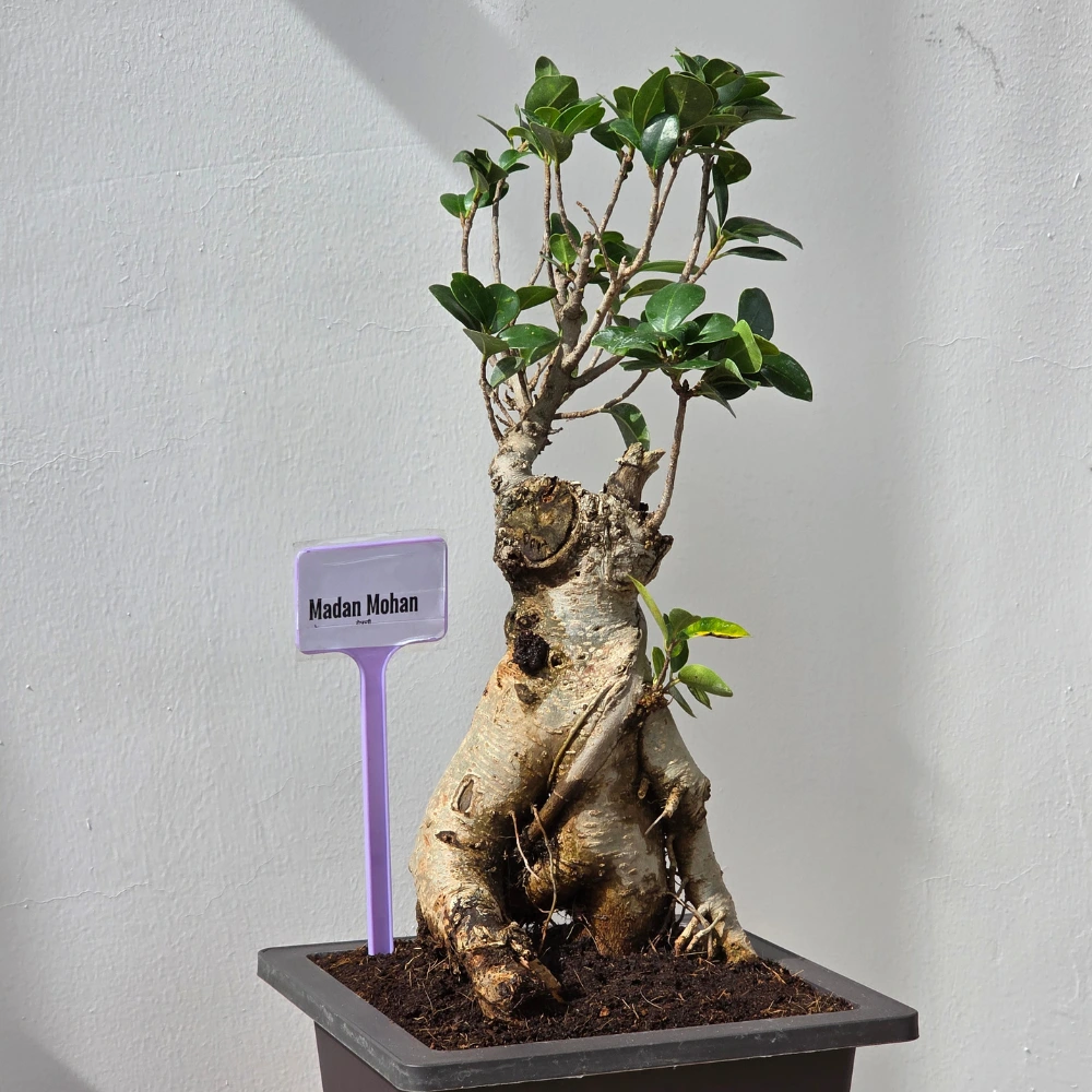 product-gallery