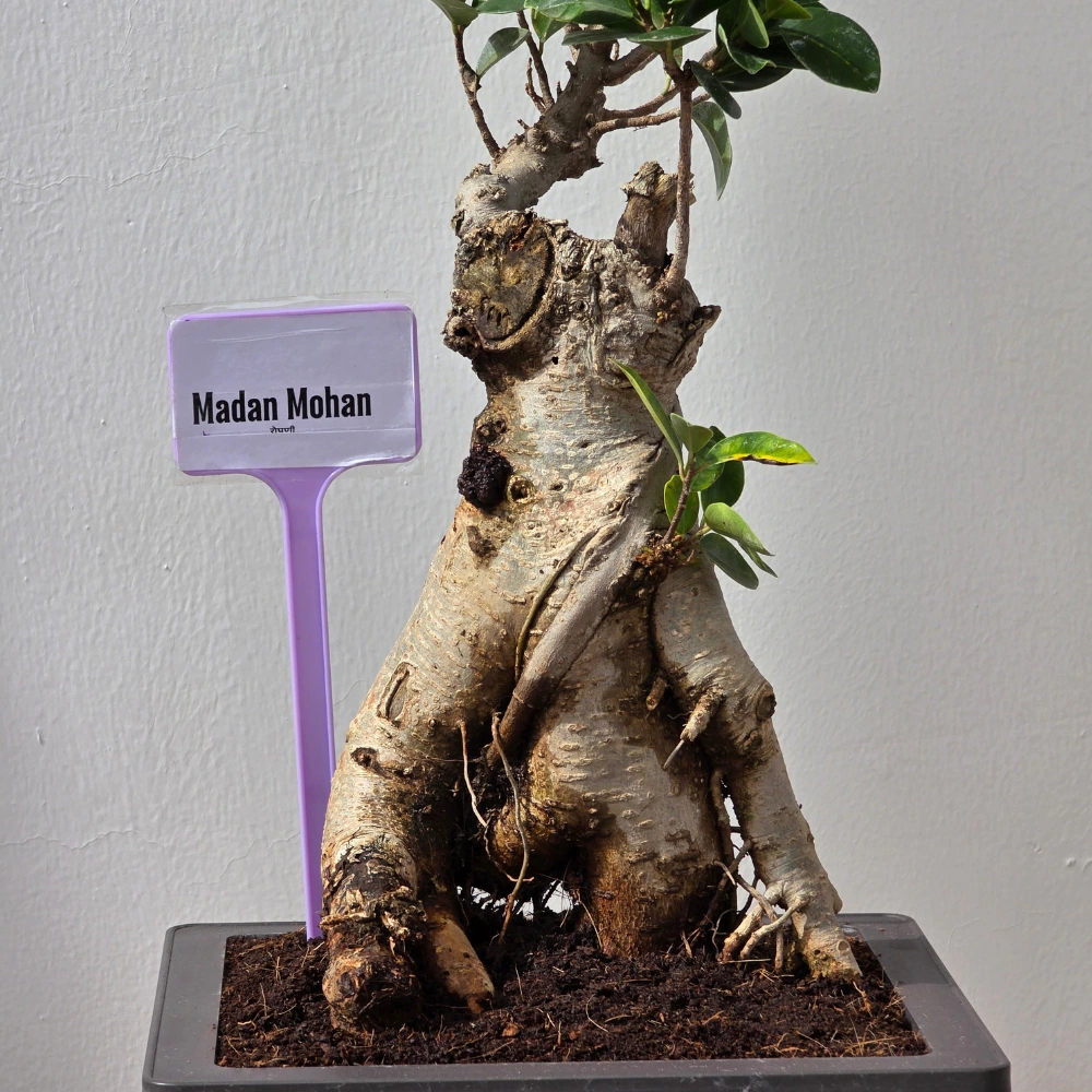 product-gallery