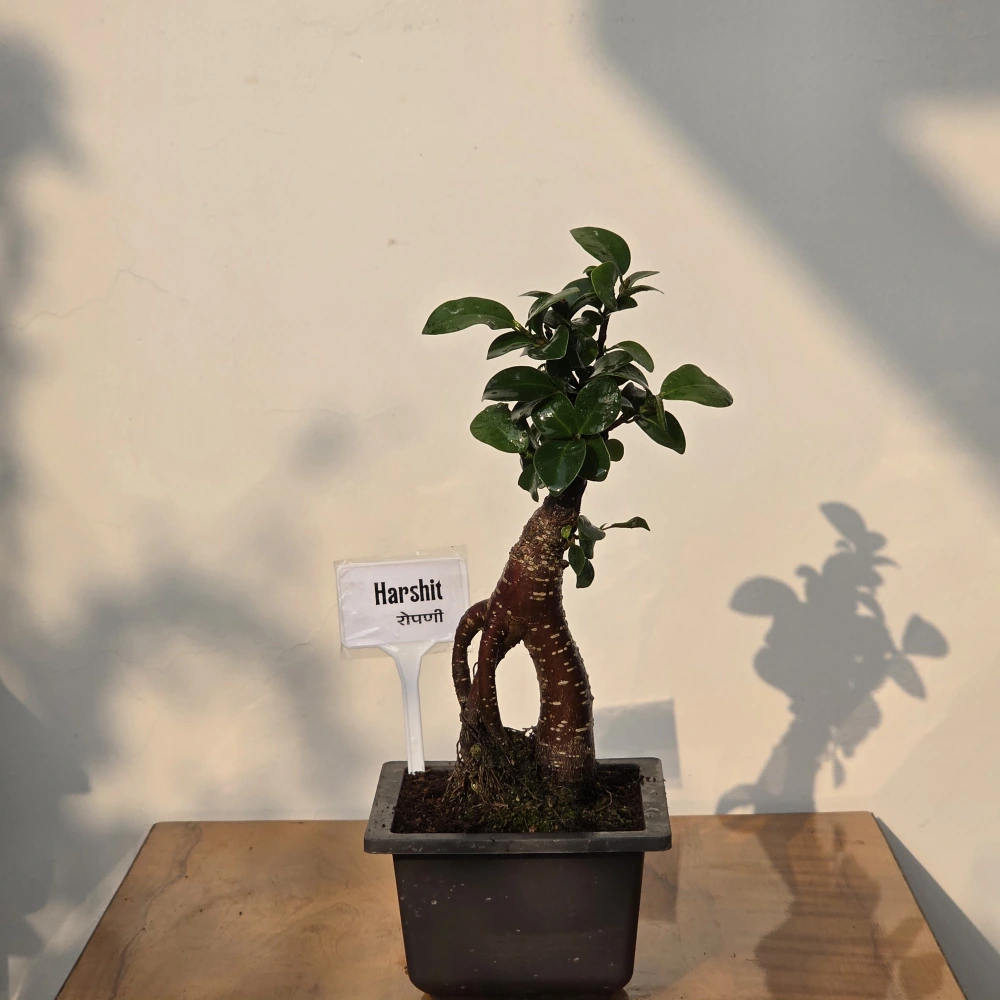 product-gallery