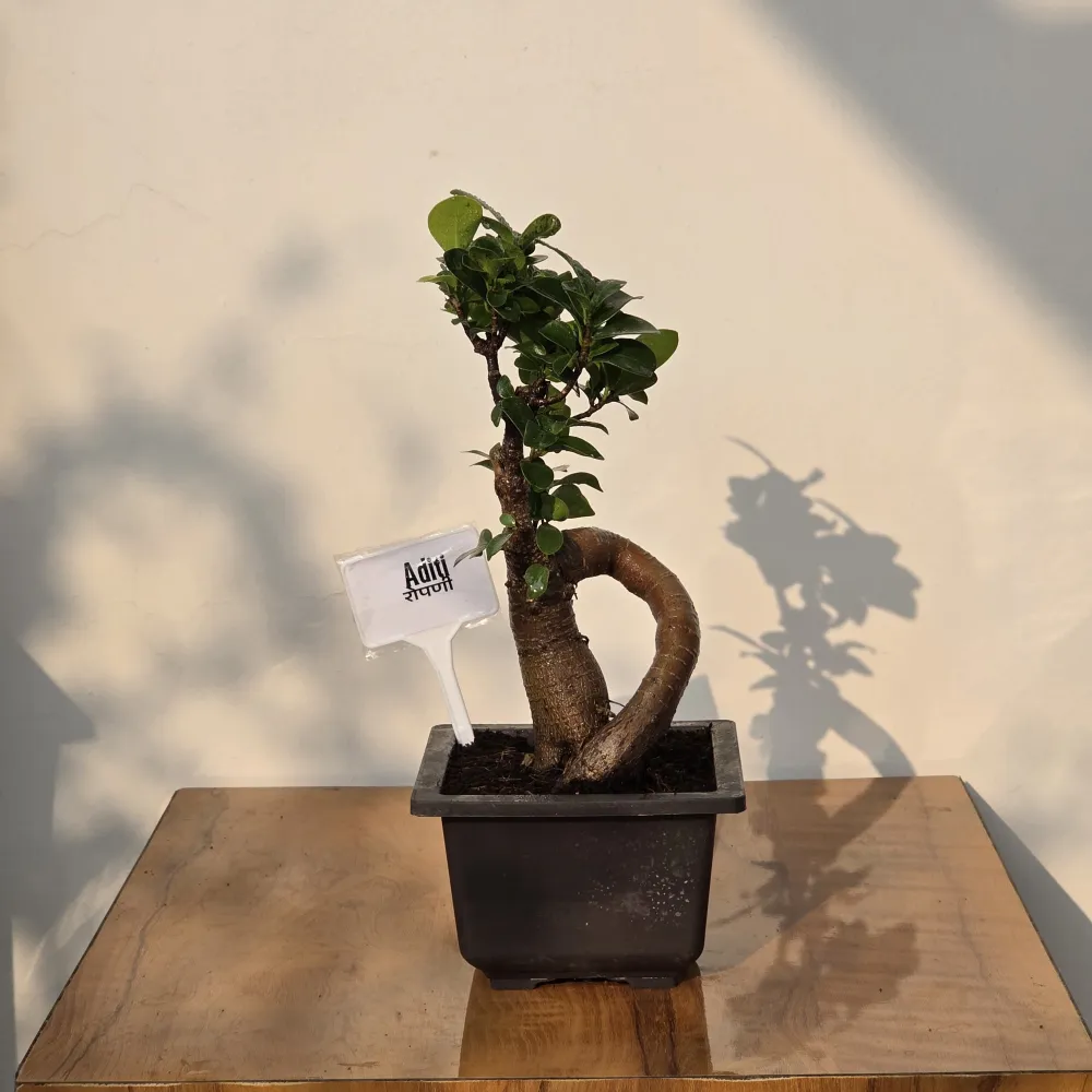 product-gallery
