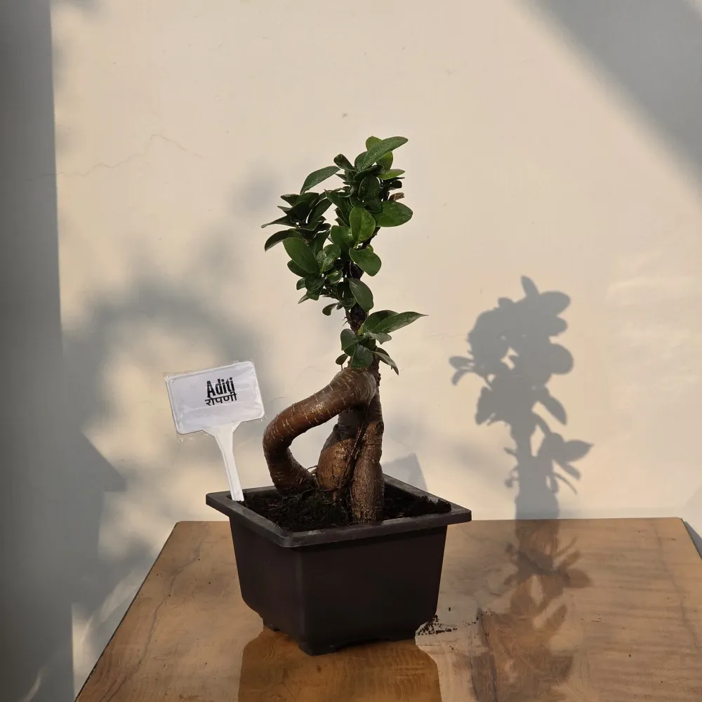 product-gallery