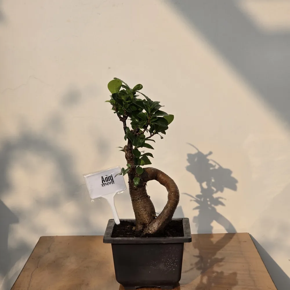product-gallery