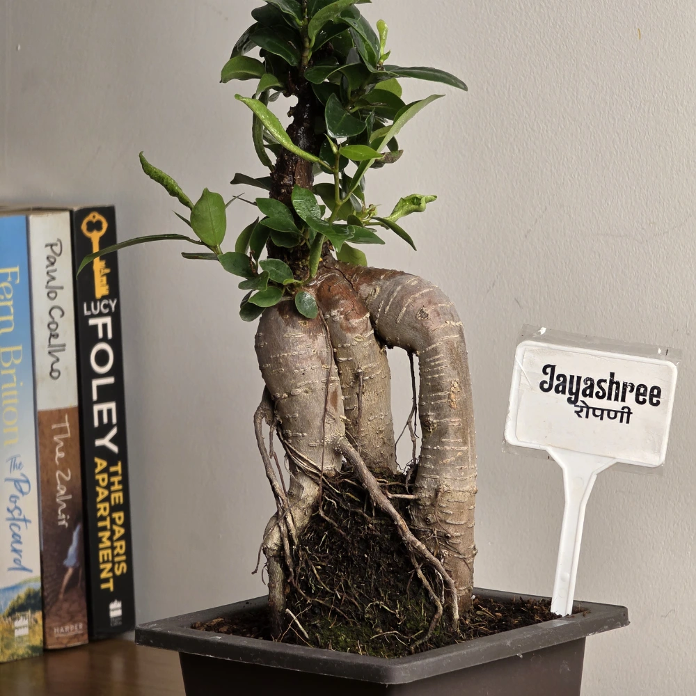 product-gallery
