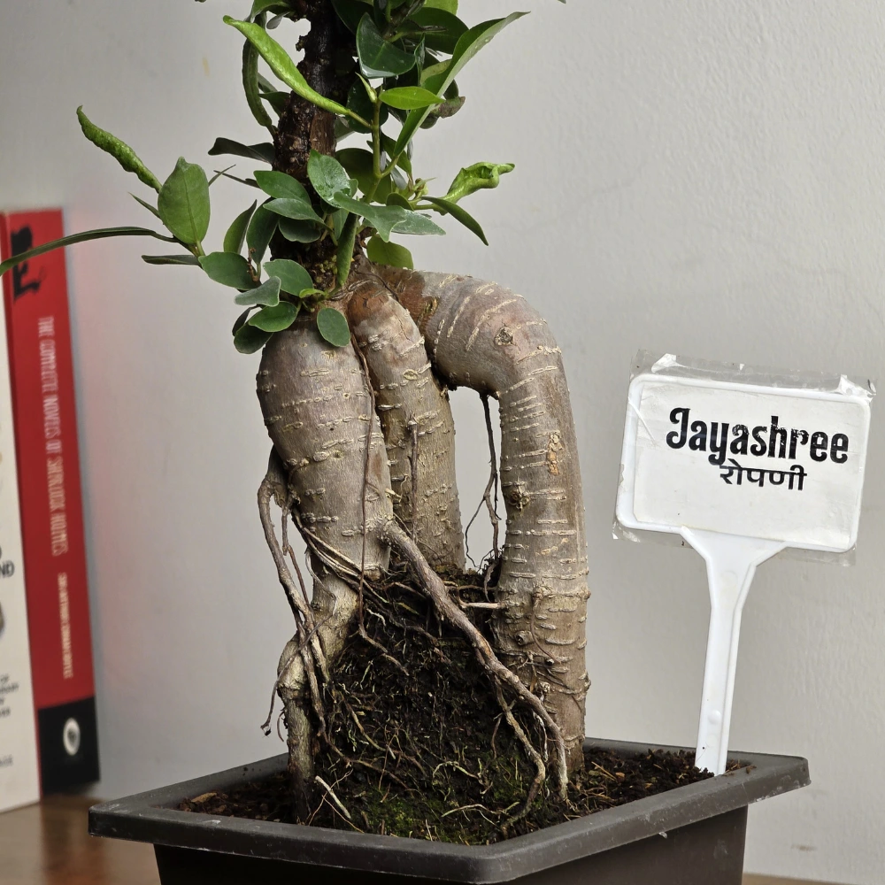 product-gallery