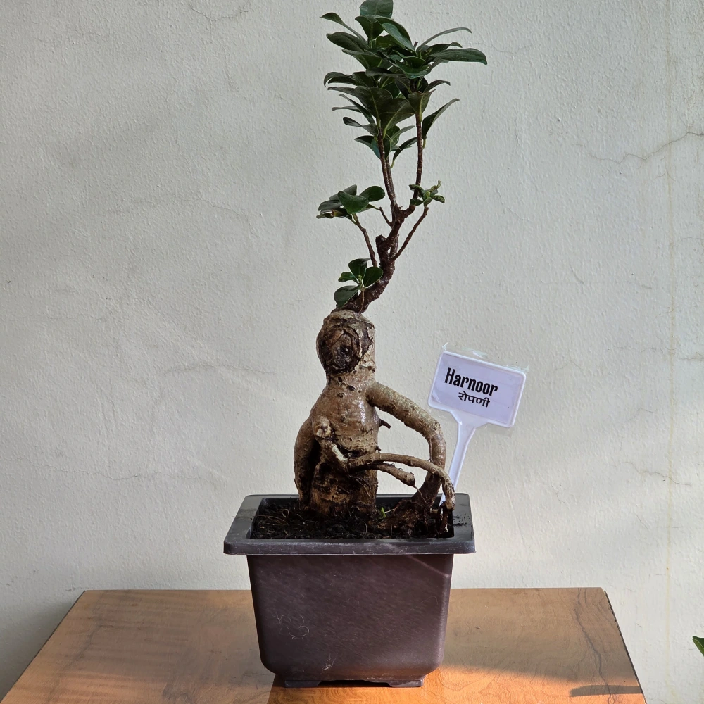 product-gallery