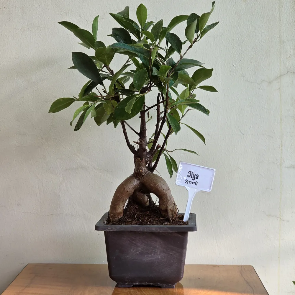 product-gallery