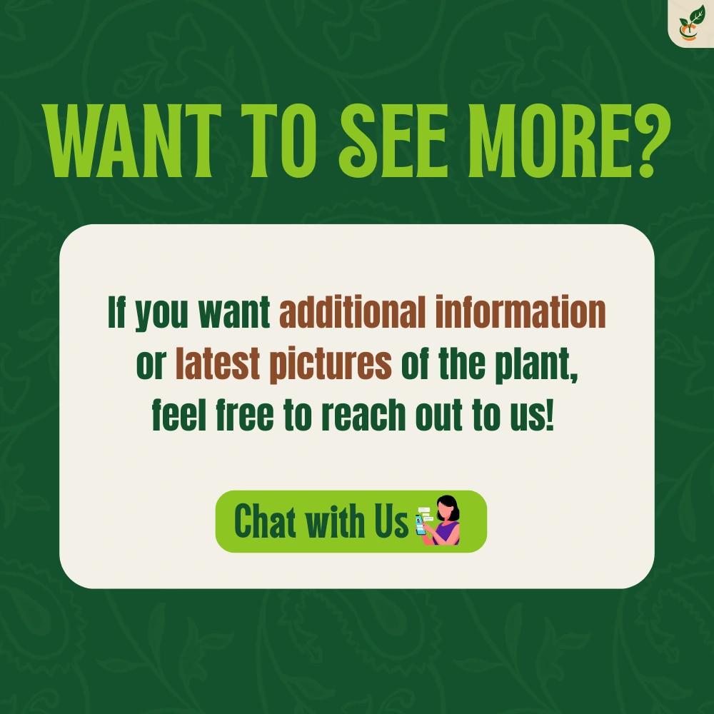 product-gallery