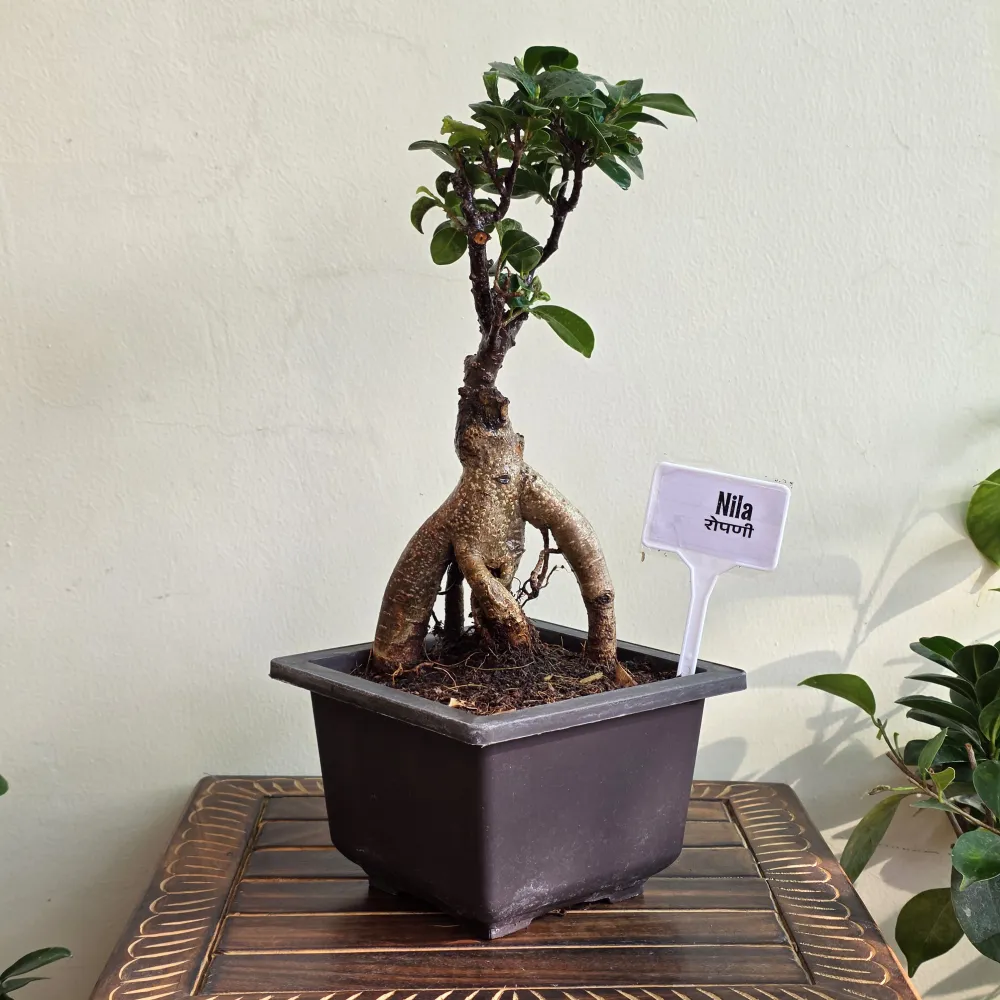 product-gallery