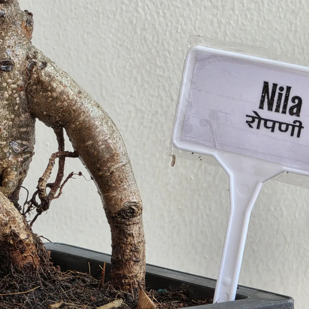 product-gallery