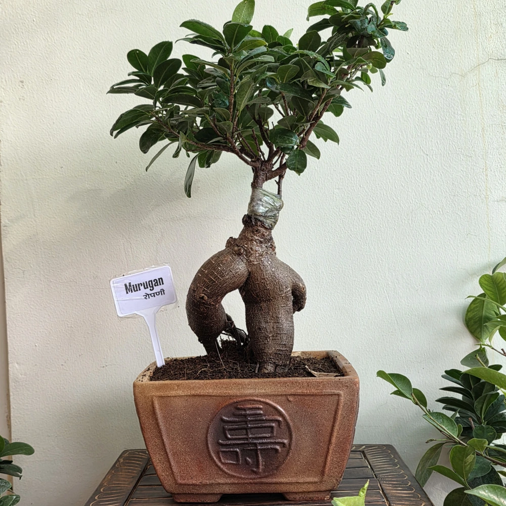 product-gallery