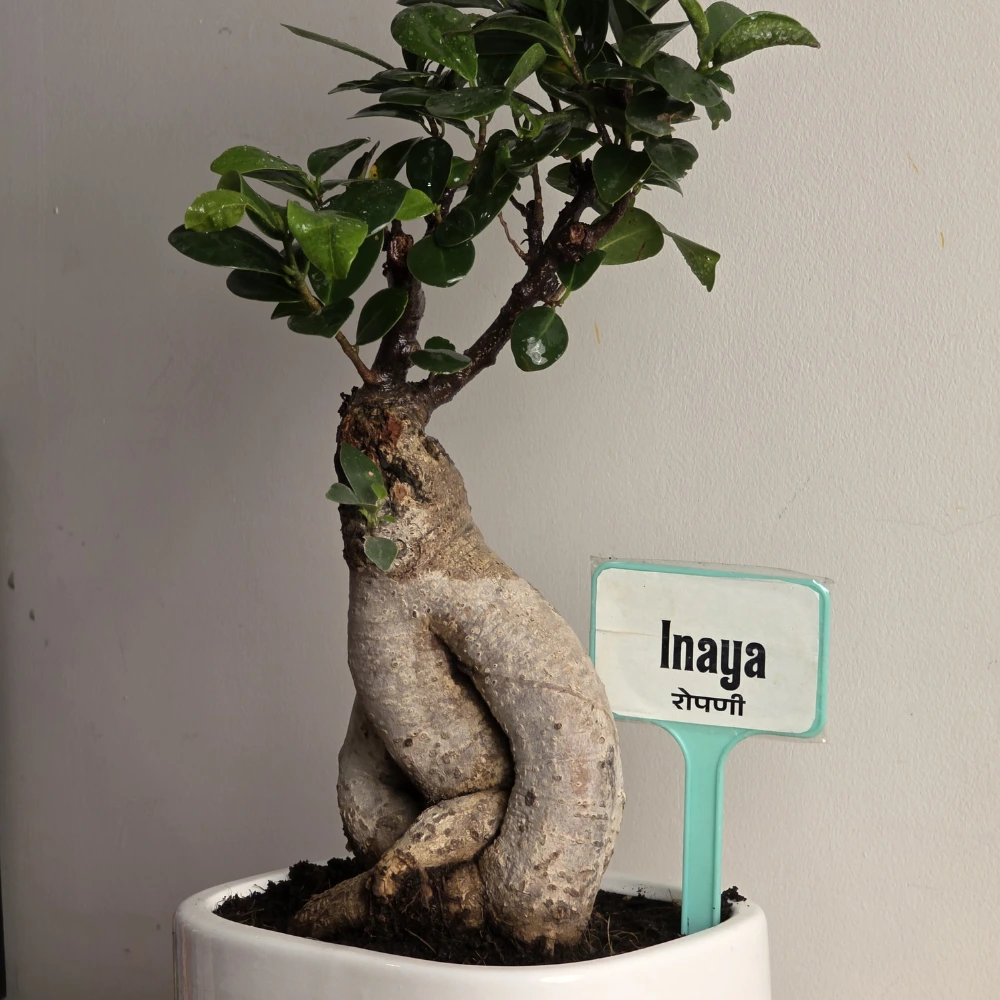 product-gallery