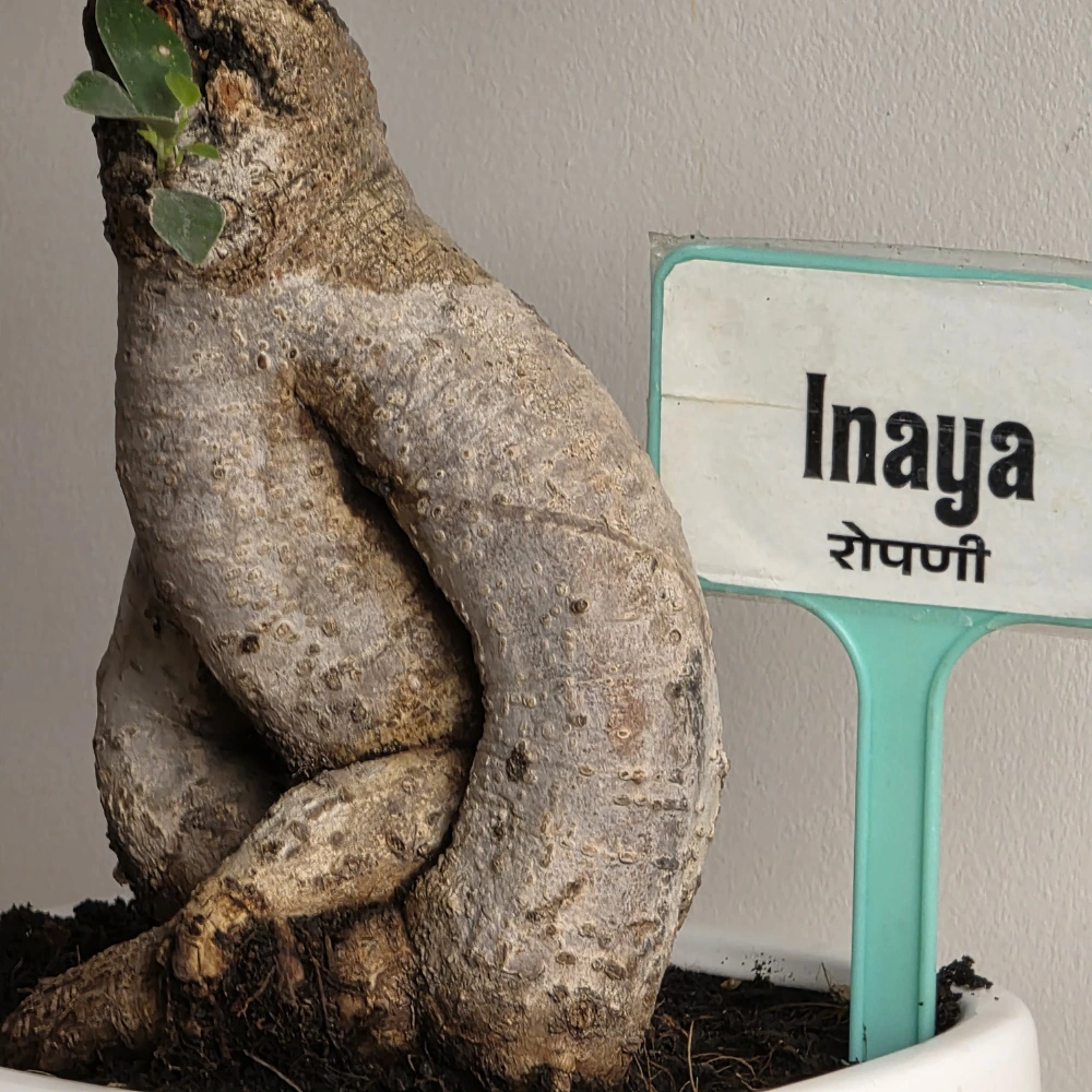 product-gallery