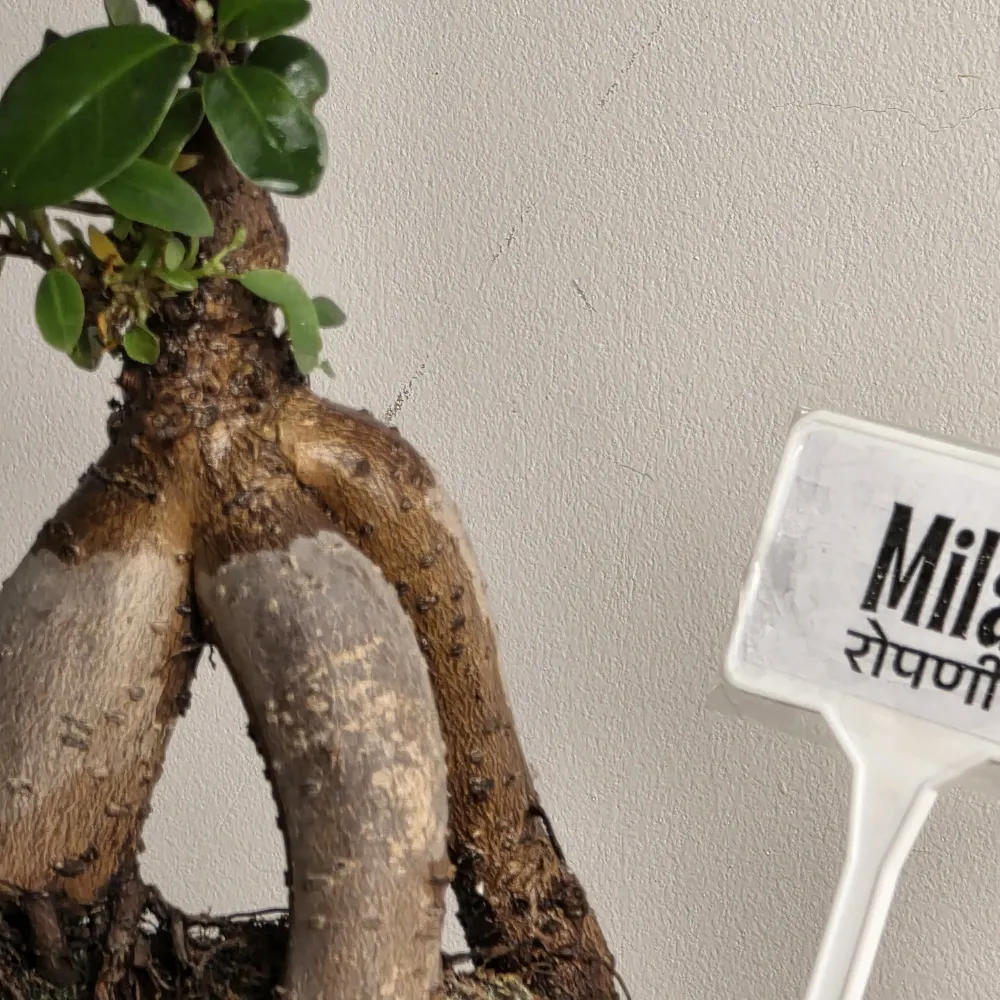 product-gallery
