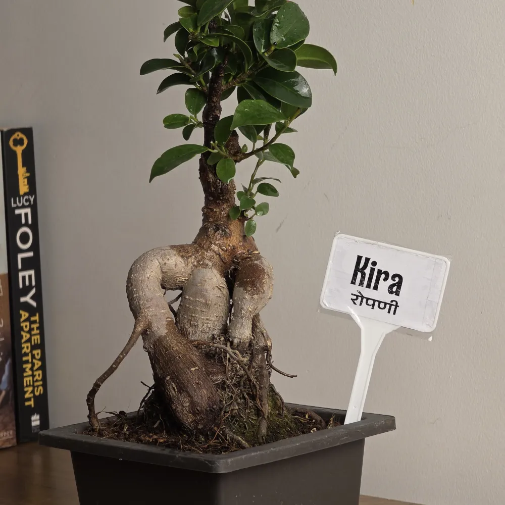 product-gallery