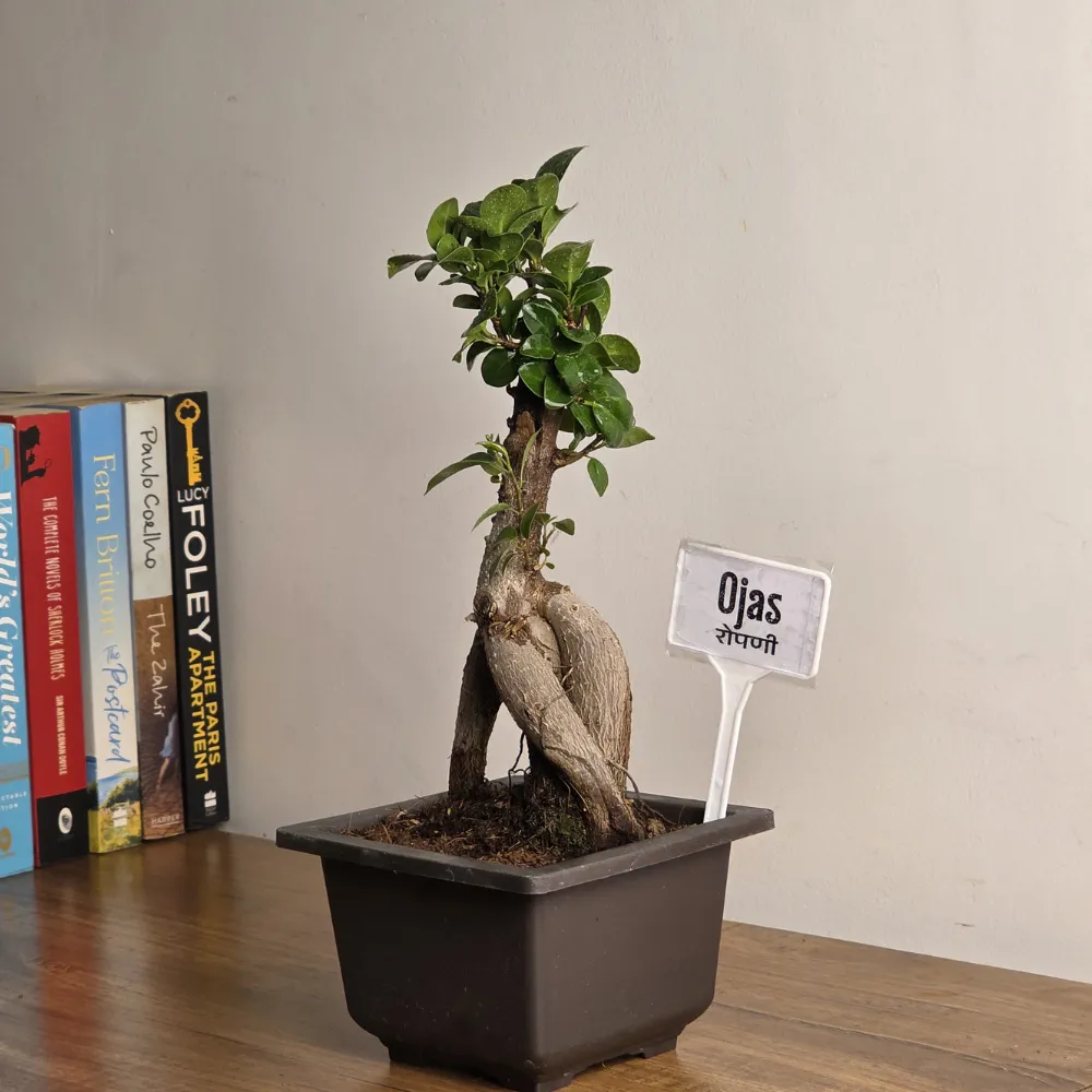 product-gallery