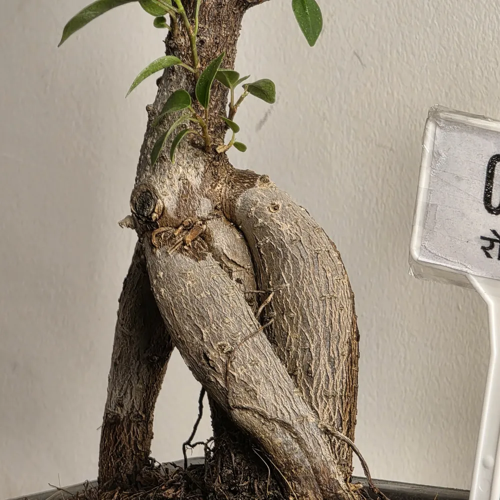 product-gallery