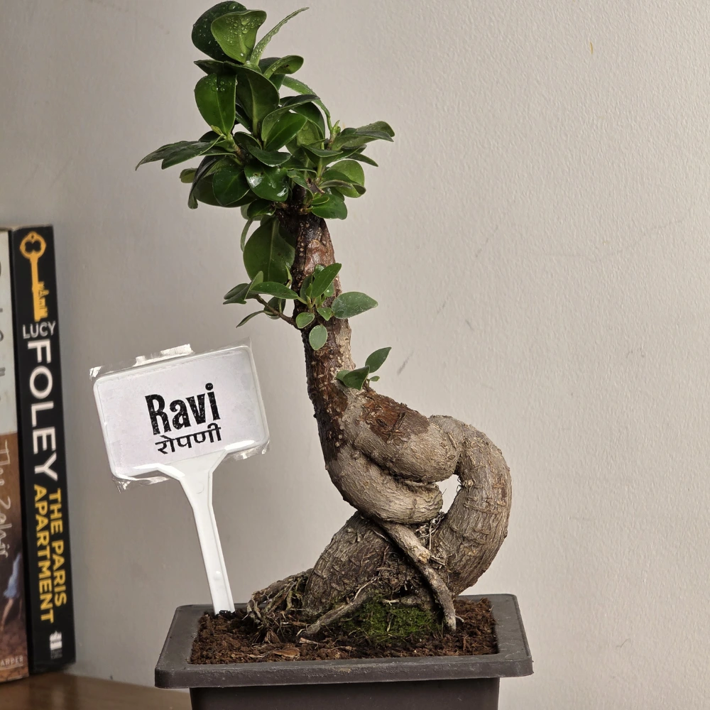 product-gallery