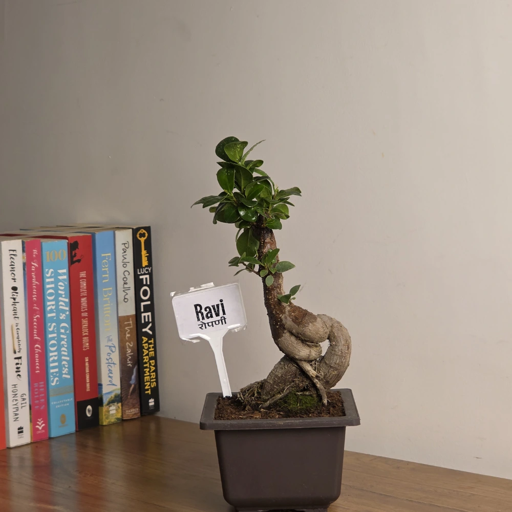 product-gallery
