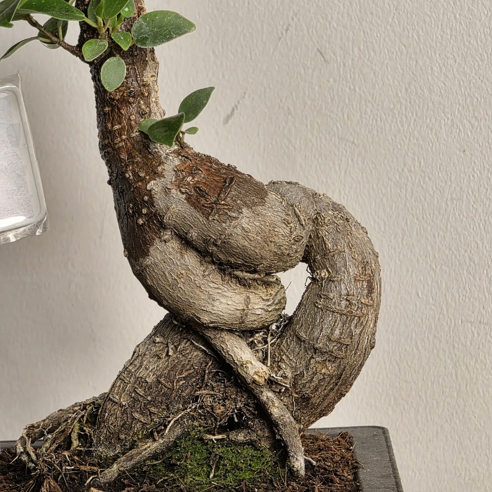 product-gallery