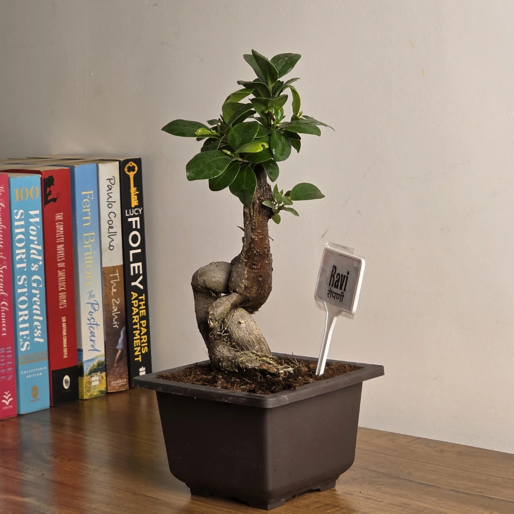 product-gallery