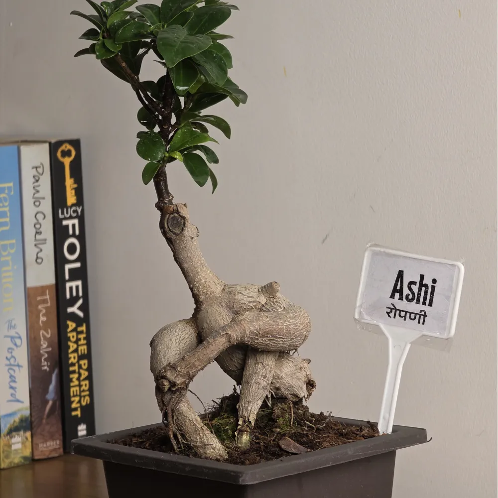 product-gallery