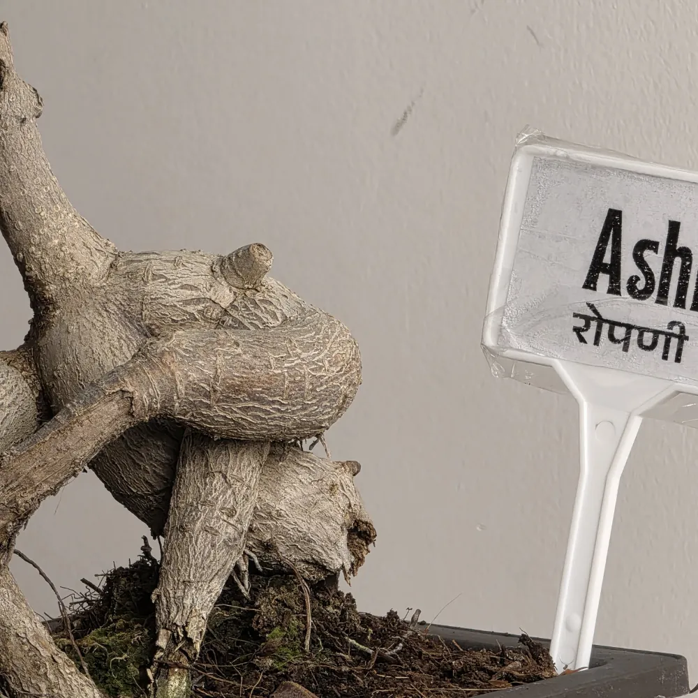 product-gallery