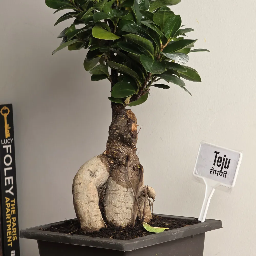 product-gallery