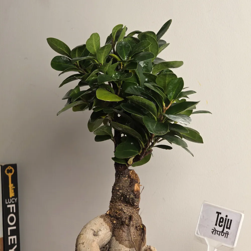 product-gallery