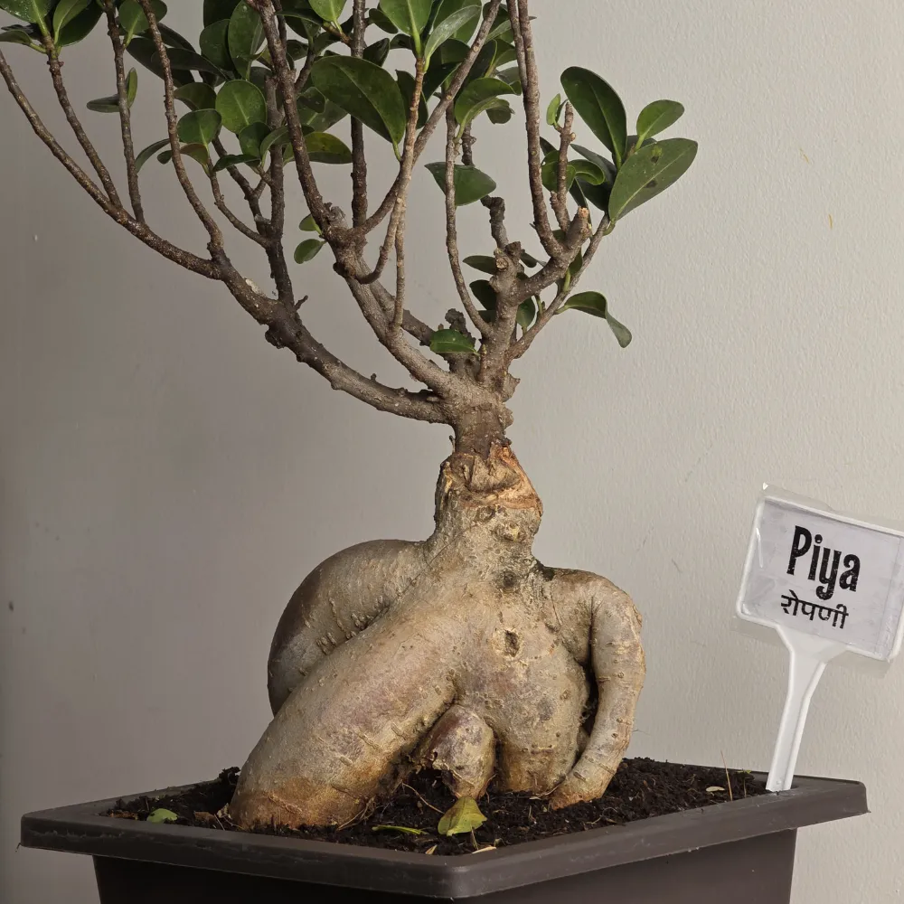 product-gallery