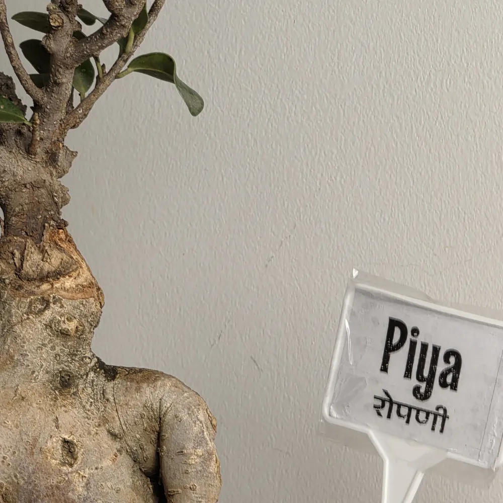 product-gallery