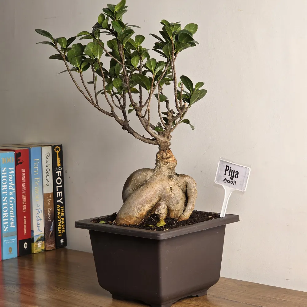 product-gallery