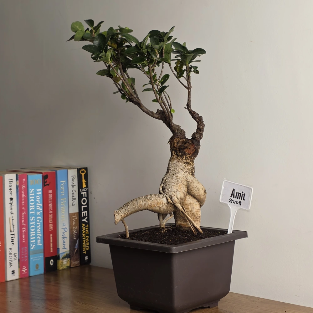 product-gallery