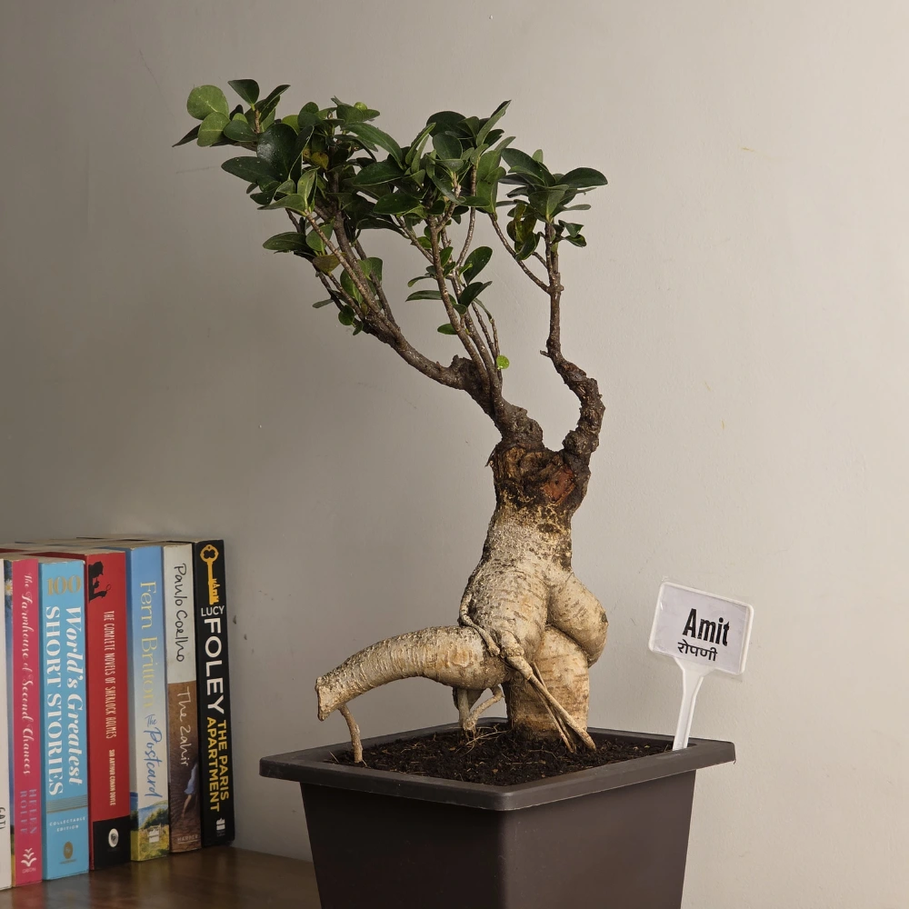 product-gallery