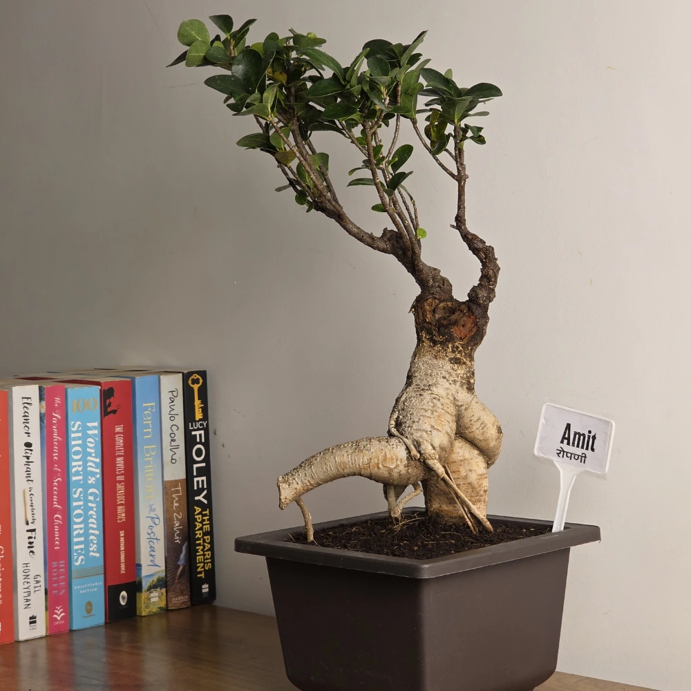 product-gallery