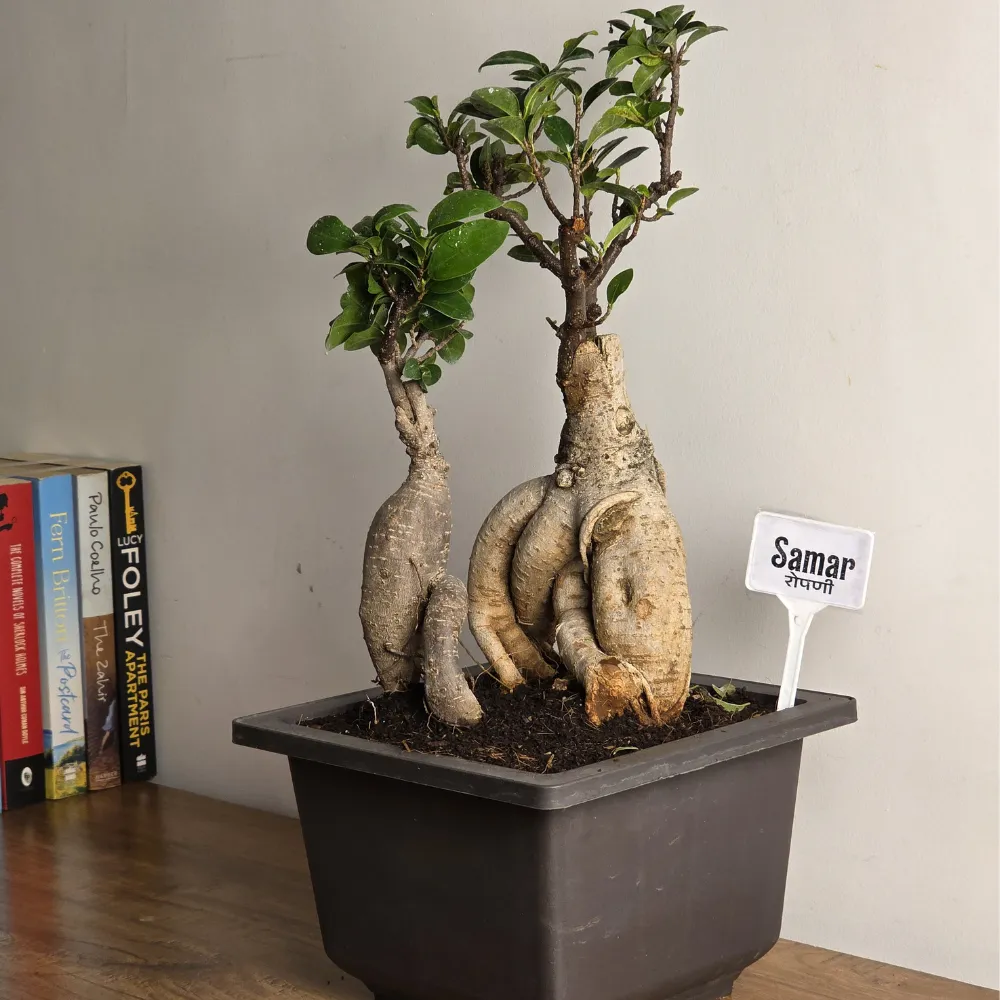 product-gallery