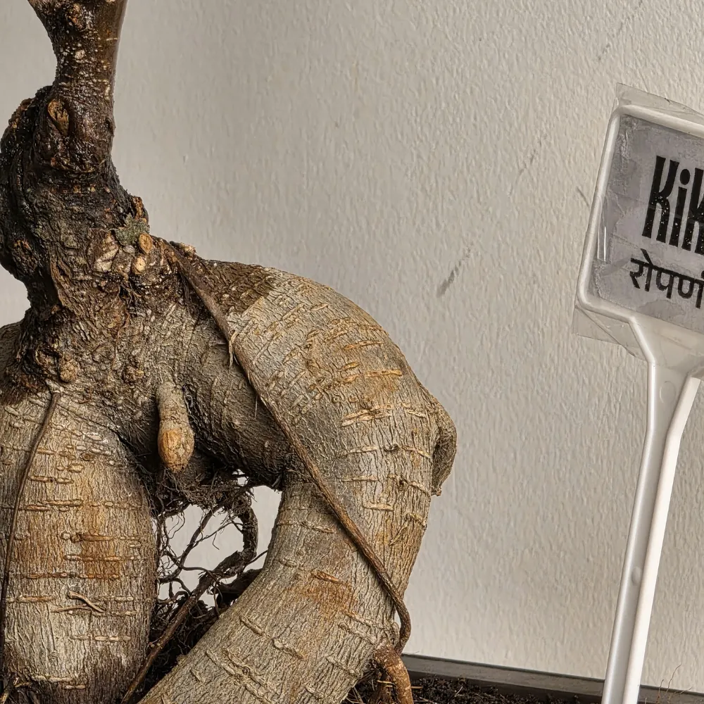 product-gallery