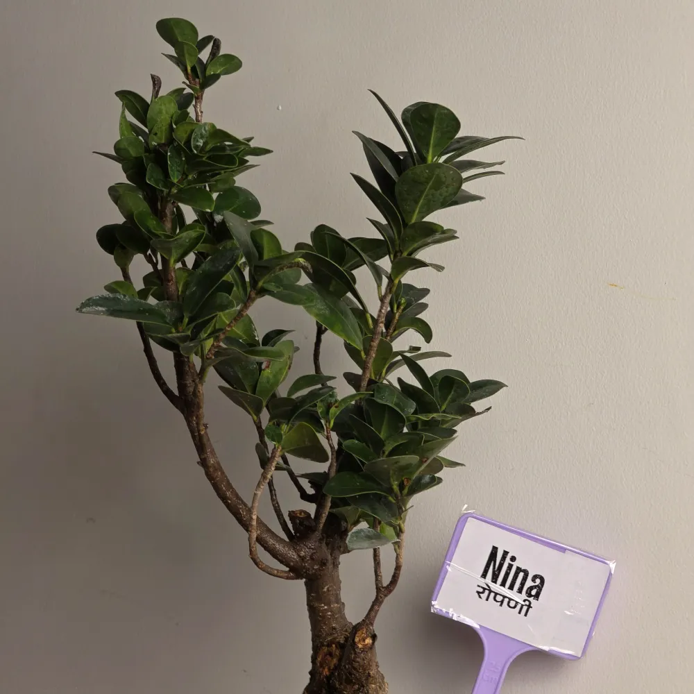 product-gallery