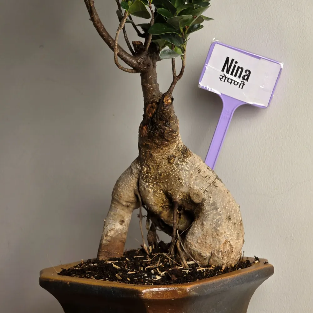 product-gallery