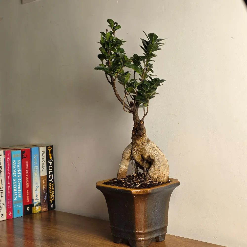 product-gallery