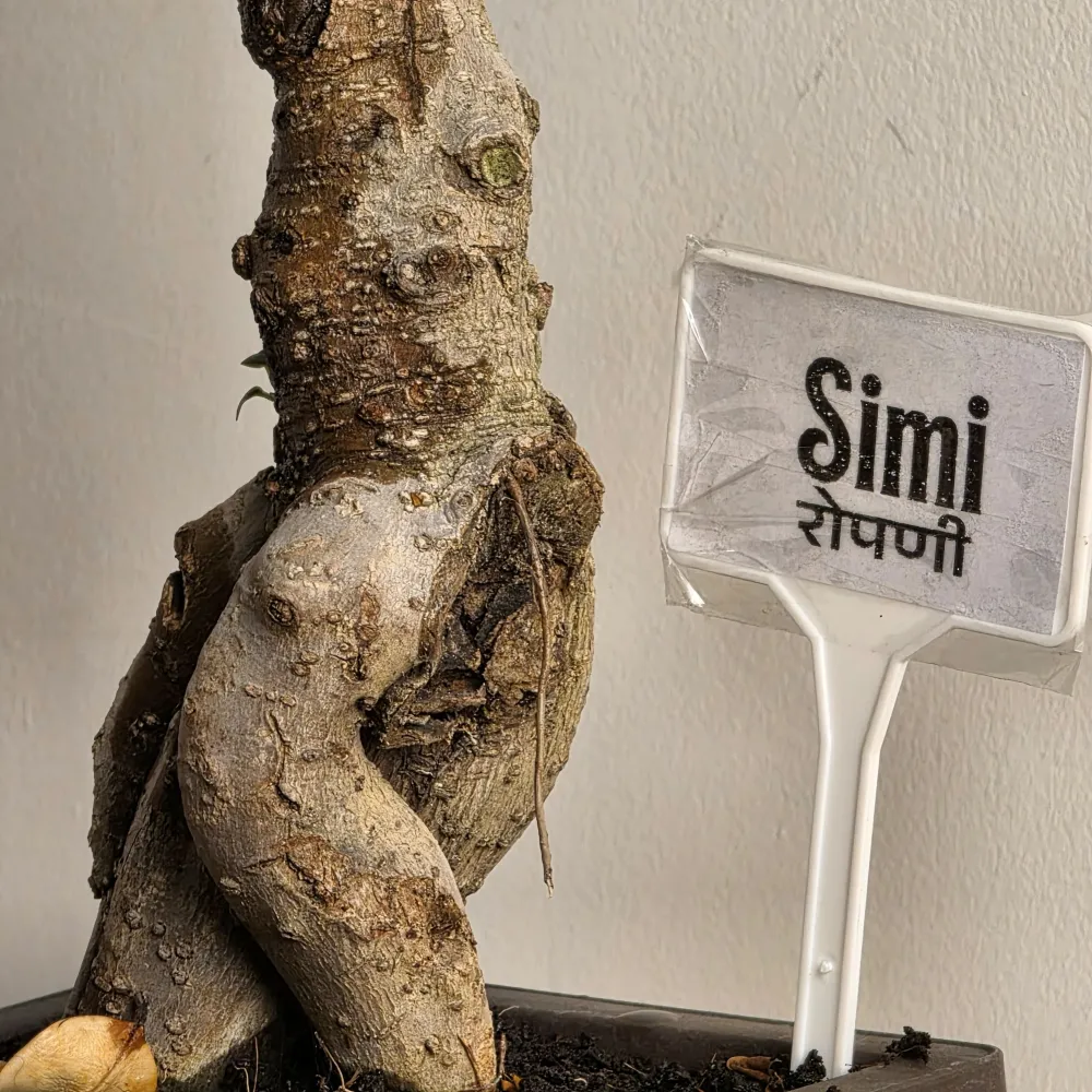 product-gallery