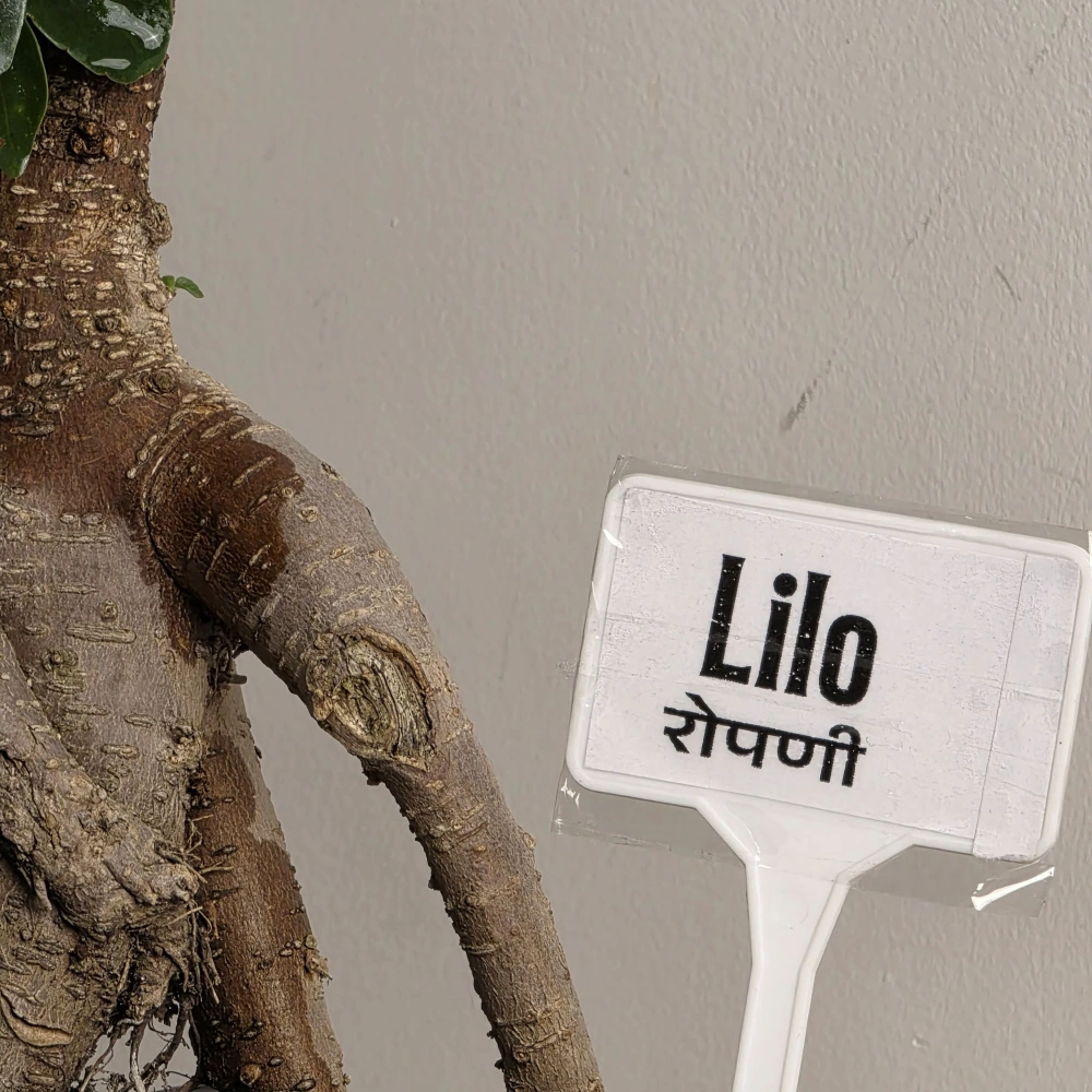 product-gallery