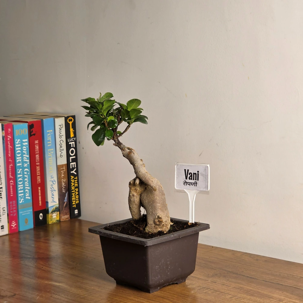 product-gallery
