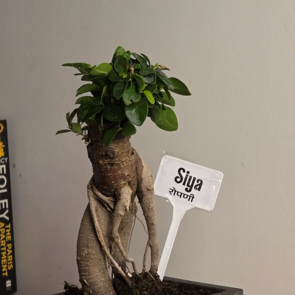 product-gallery