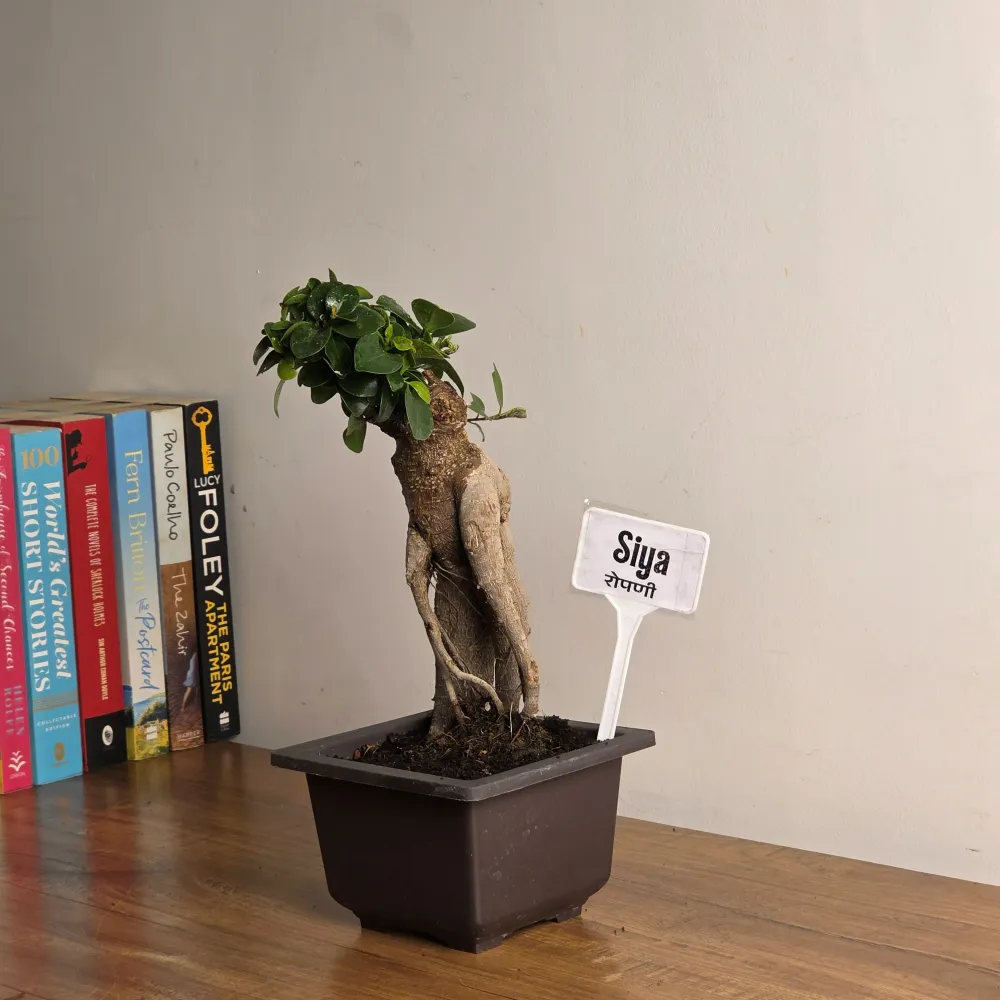 product-gallery