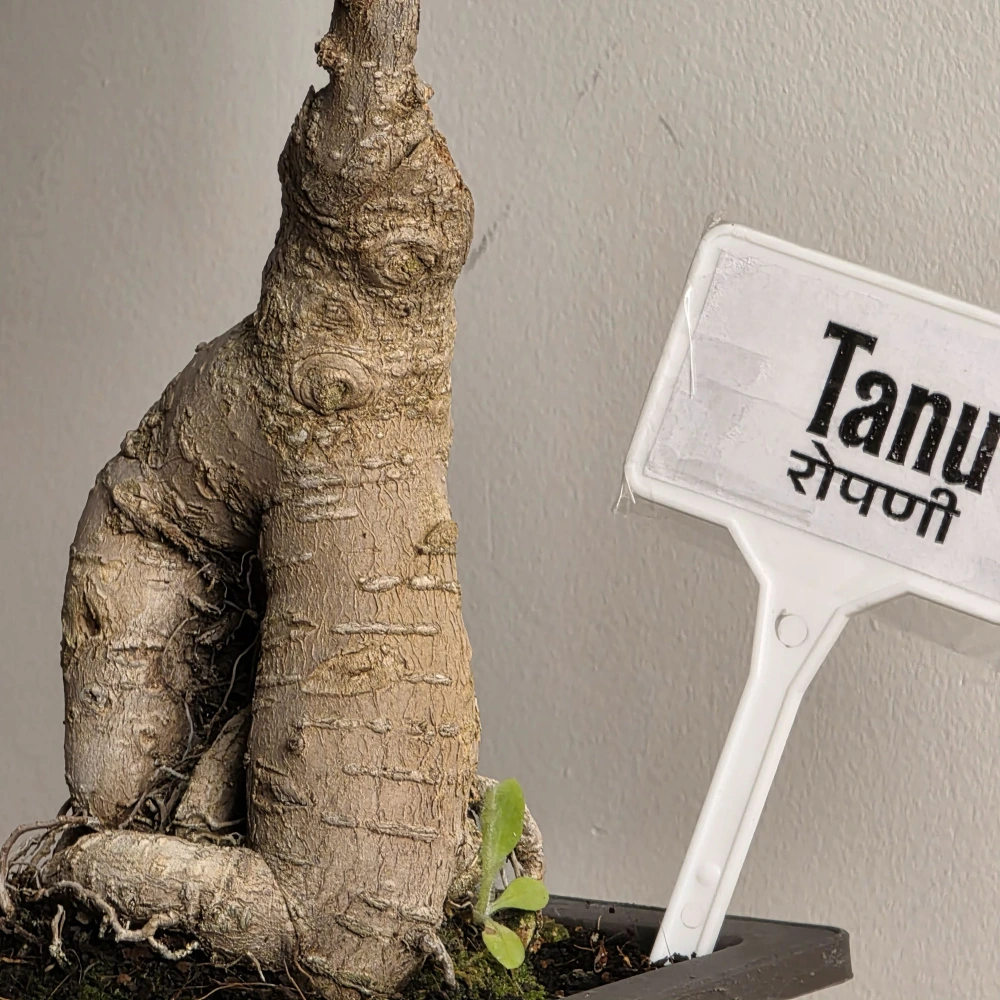 product-gallery