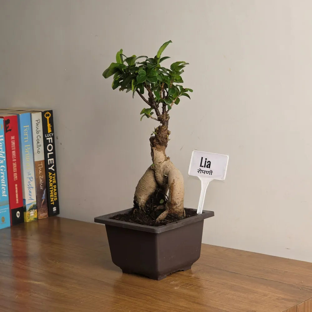 product-gallery