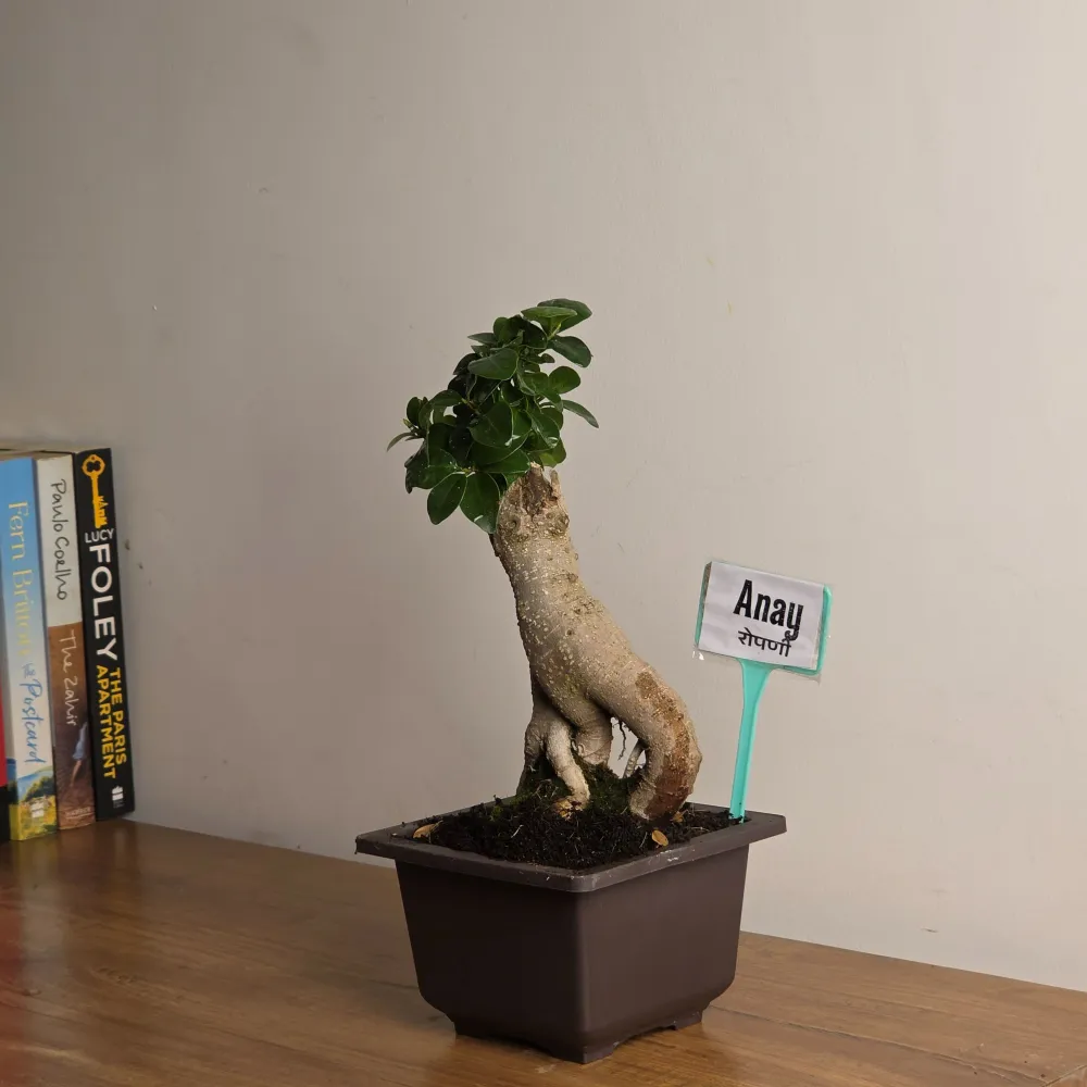 product-gallery